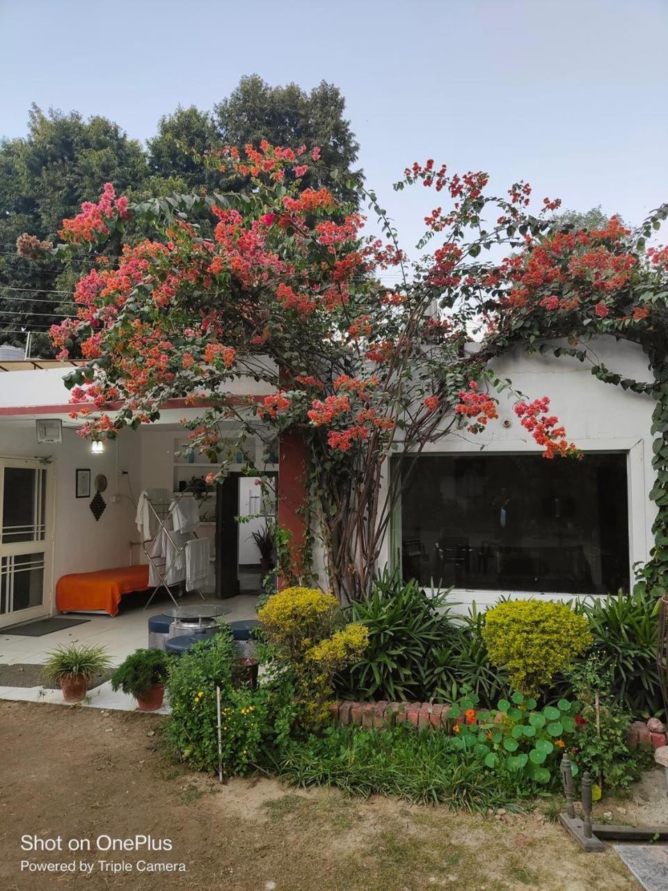 Apartment Serene Abode Meerut